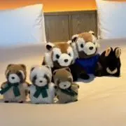 やーの画像