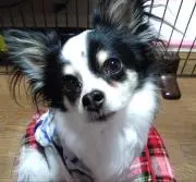 ももにょ