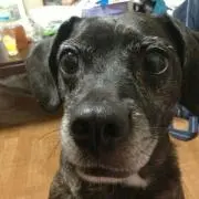 みっちー(⁠ᵔ⁠ᴥ⁠ᵔ⁠)