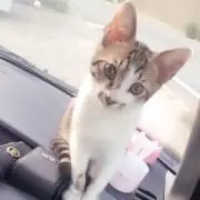 ヒナ☆