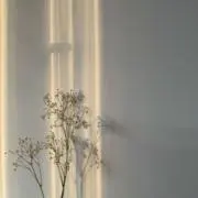 かすみの画像