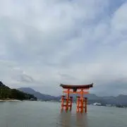 おりーぶの画像
