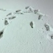 Eimyの画像