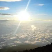 投げ屋の画像
