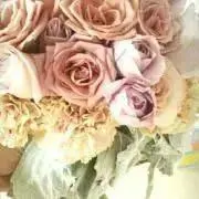 おにぎりの画像