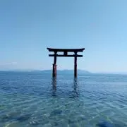 サクラ会計