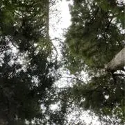 ABCの画像