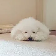 mの画像