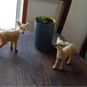 はるの画像