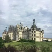 りんごの画像