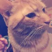 サニー