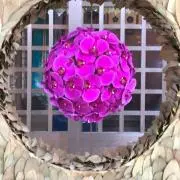 しげこ★の画像