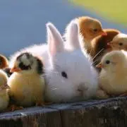 みっちゃん