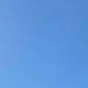 刺身