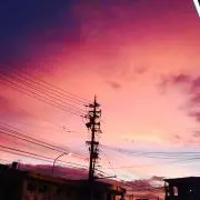 アン