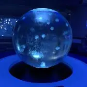 だいふくの画像