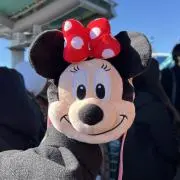 gtの画像