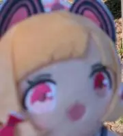 ヴェイルフェイスの画像