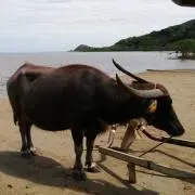 エイトの画像