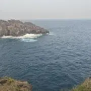 ニキの画像