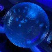 り