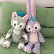 ✩.˚猫兎✧の画像
