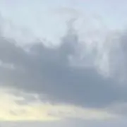 e.e