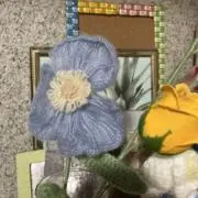 pomponの画像