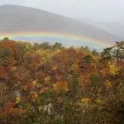 さちの画像