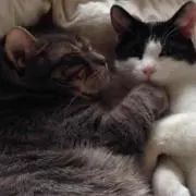 こぅちゃん♡ふうせん