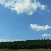 yshs1236の画像