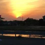 たったの画像