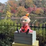 Cocochiの画像