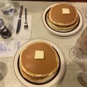 フラミンゴの画像