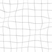 ぎんの画像