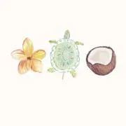 moana puaの画像