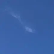 Pukuの画像