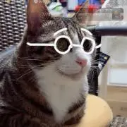 球太の画像