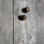 Dの画像
