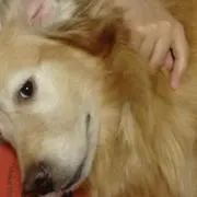 けいこ