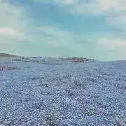 まぁの画像