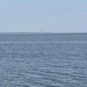 トモトモの画像