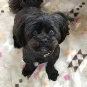 けーちゃんの画像