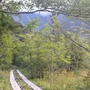 be