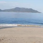 まつの画像