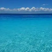 Blue Marineの画像