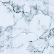 ぽがぴょんの画像
