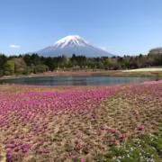 ともの画像