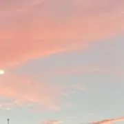 aoiの画像