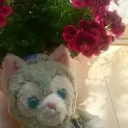 ♡さー♡の画像